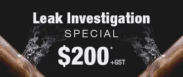 Leak Investigation Discount Ellerslie